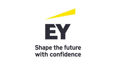 ERNST & YOUNG SOLUTIONS LLP