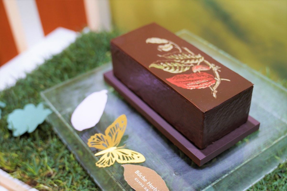 植物標本をモチーフにした「ビュッシュエルビエ」