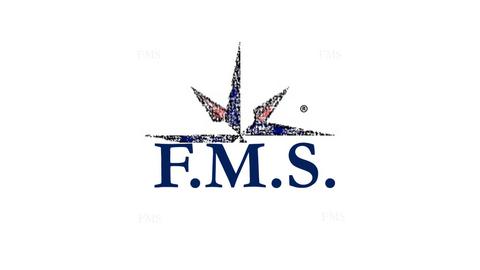 F.M.S. CONSULTING SRL