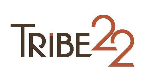 TRIBE 22 RETAIL CONSULTANCY AND SOLUTIONS