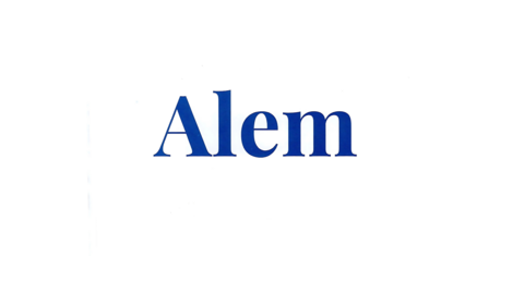 ALEM & ASSOCIATES