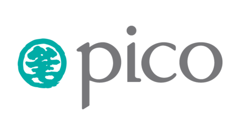 PICO INTERNATIONAL LTD