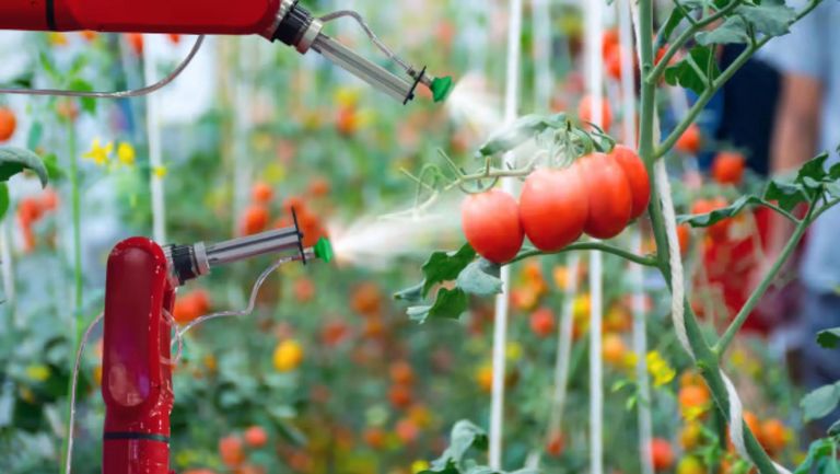 AON - Navigating Cargo Transportation Challenges in the Food, Agribusiness and Beverage Industry