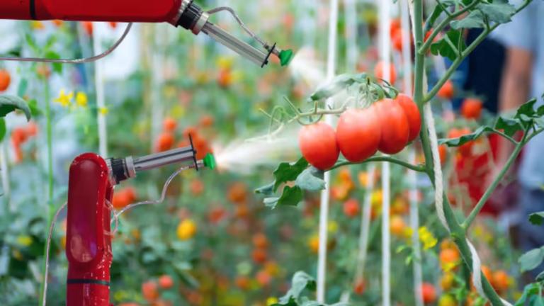 AON - Navigating Cargo Transportation Challenges in the Food, Agribusiness and Beverage Industry