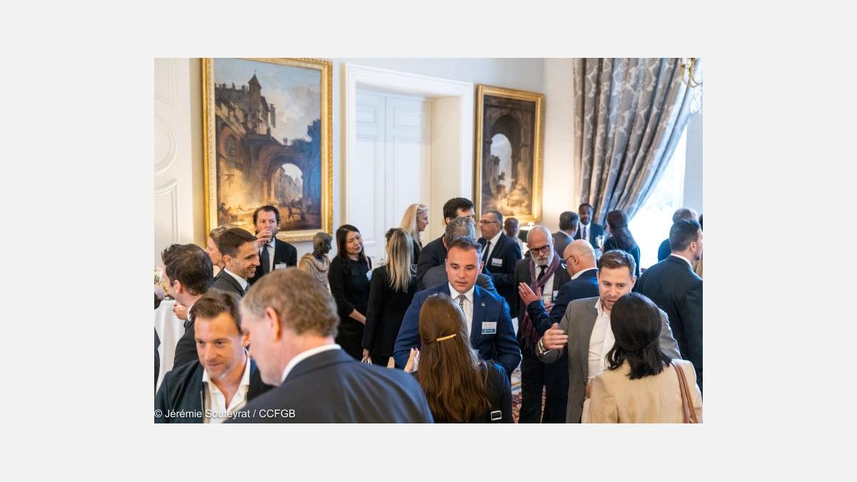 Ambassadors-Brief-French-Chamber-of-Great-Britain