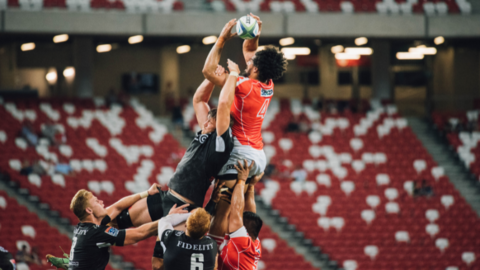 Experience the Rugby World Cup 2023 and develop your Business in France