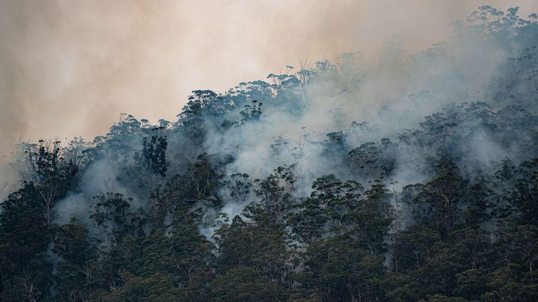 Intergovernmental-Panel-on-Climate-Change-French-Chamber-of-Great-Britain