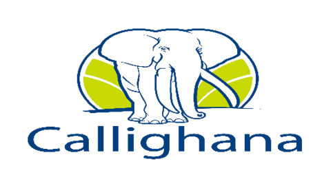 CALLI GHANA COMPANY LTD