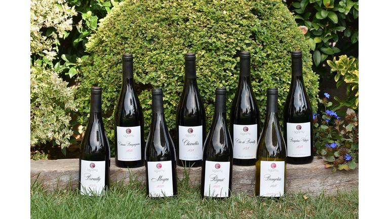 Agamy wins gold medal in the Berlin Wine Trophy and will participate in Asia Wine Trophy