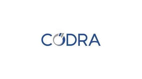 CODRA SOFTWARE LTD