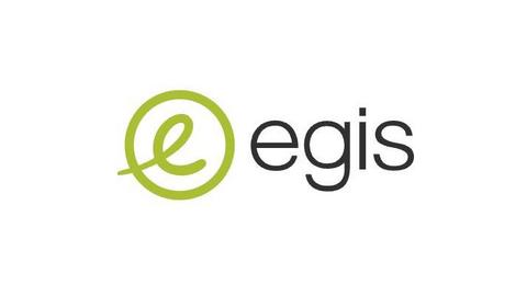 EGIS SINGAPORE PTE LTD