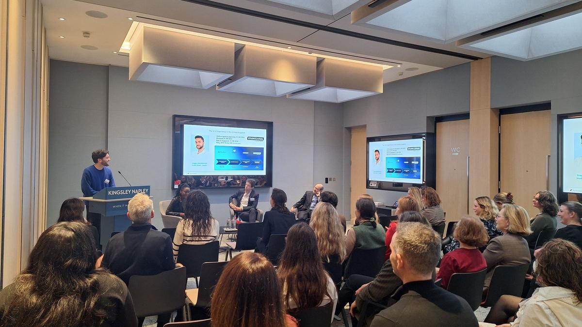 VIE (Volontariat International en Entreprise) Program: Global Opportunities and Legal Considerations