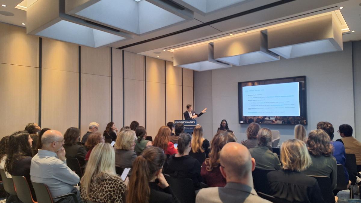 VIE (Volontariat International en Entreprise) Program: Global Opportunities and Legal Considerations