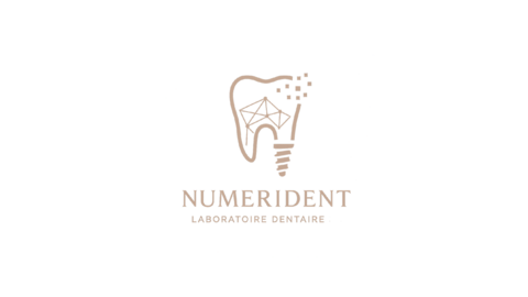 NUMÉRIDENT INC 