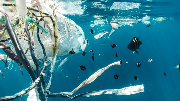 the-seacleaners-ocean-plastic-pollution-French-Chamber-of-Great-Britain