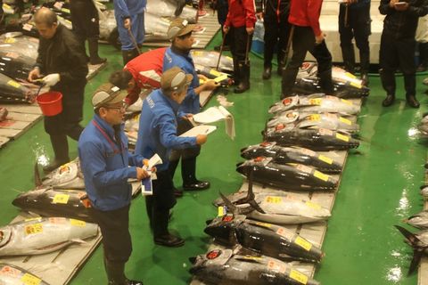 Mission Ikejime Mission Ikejime