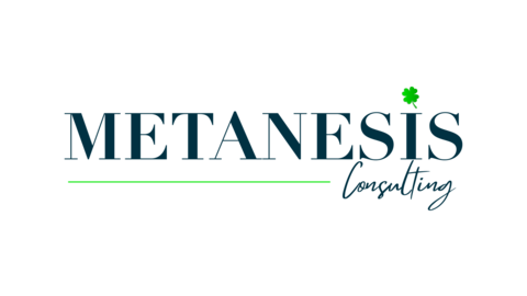 METANESIS CONSULTING