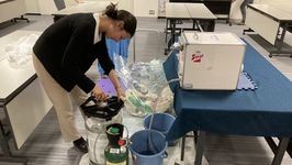 Draft beer "Licorne" by Focus