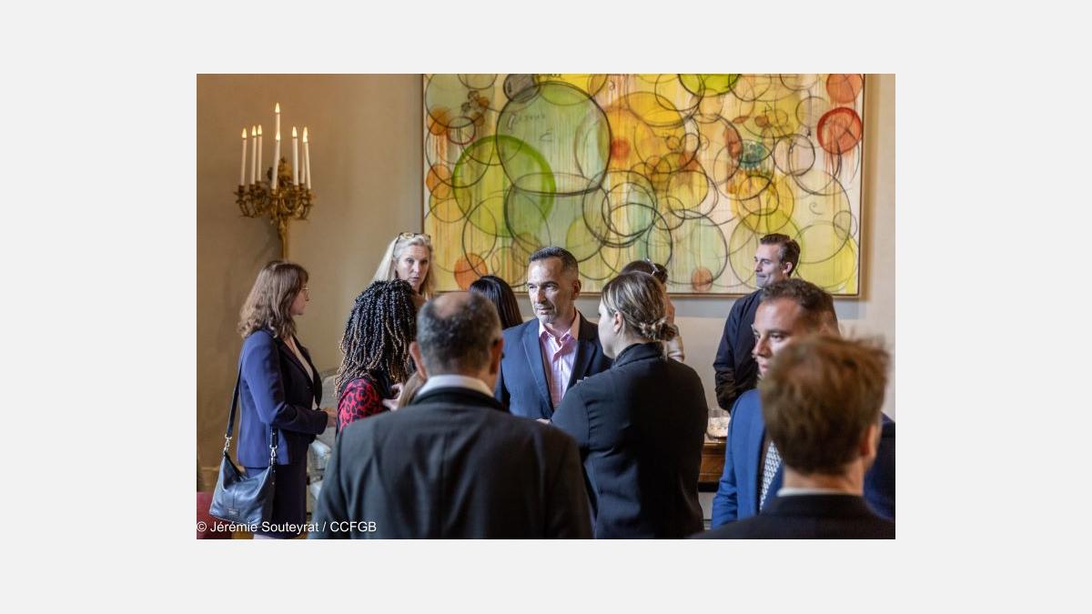 Ambassadors-Brief-French-Chamber-of-Great-Britain