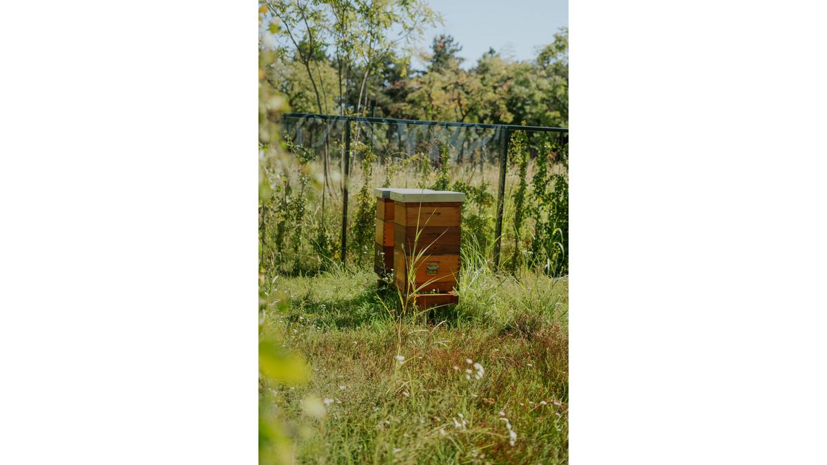 [Translate to Serbe:] 