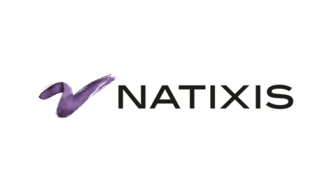 NATIXIS SERVIÇOS E INFORMAÇÕES LTDA