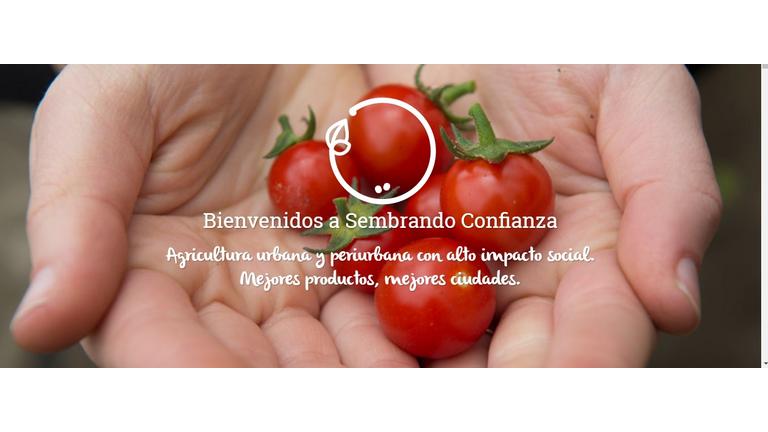 Sembrado Confianza: Un proyecto de agricultura orgánica y urbana, en Bogotá, Colombia