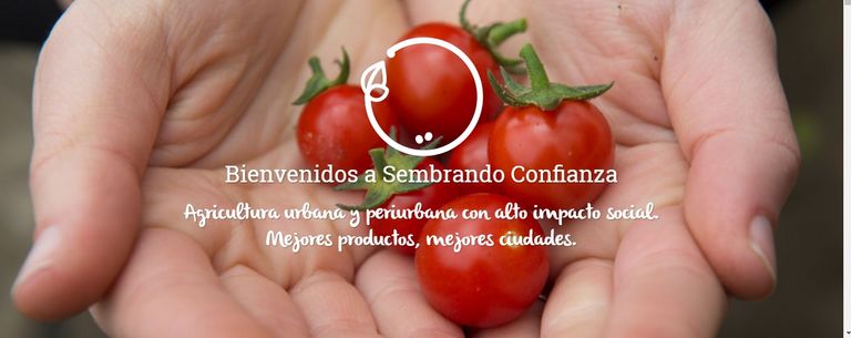 Sembrado Confianza: Un proyecto de agricultura orgánica y urbana, en Bogotá, Colombia