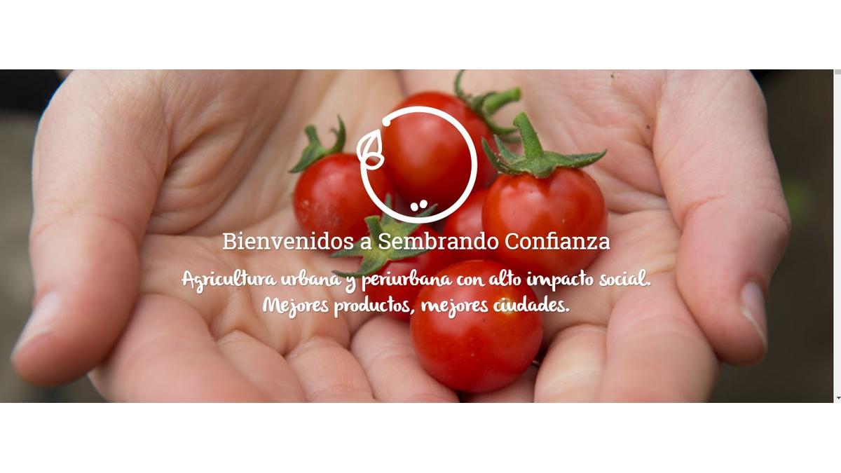 Sembrado Confianza: Un proyecto de agricultura orgánica y urbana, en Bogotá, Colombia