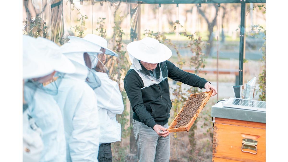 [Translate to Serbe:] 