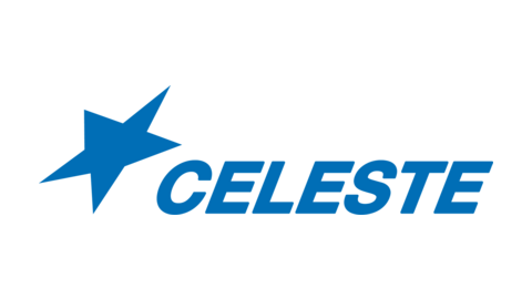 CELESTE TELECOM MAURITIUS LTD