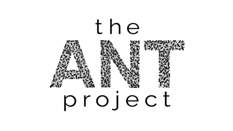 THE ANT PROJECT