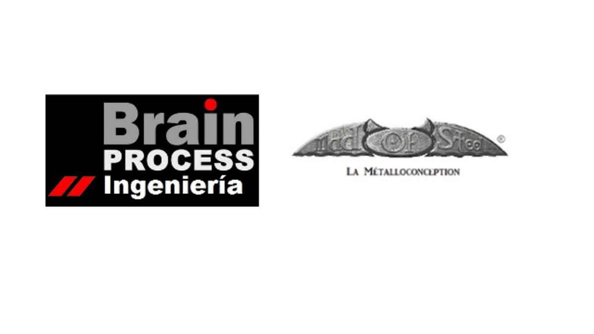 brain process