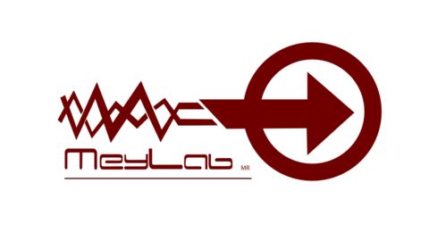 MEYLAB SA DE CV