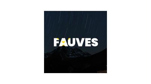 E4 CONSEIL (MARQUE FAUVES)