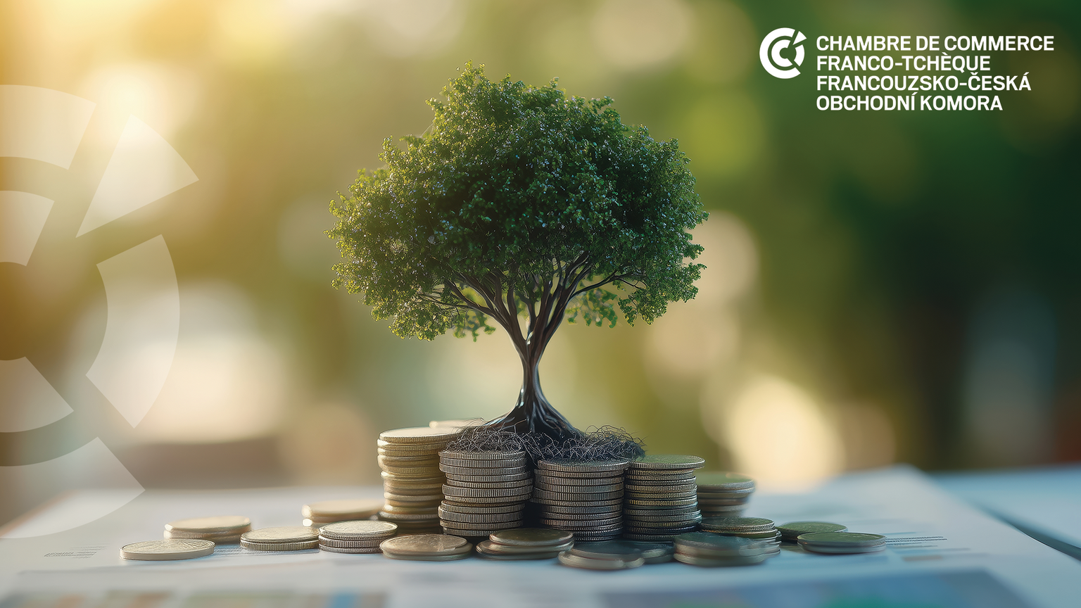 [Translate to Tchèque:] 