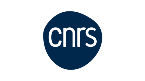 CENTRE NATIONAL DE LA RECHERCHE SCIENTIFIQUE (CNRS)