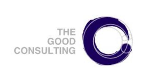 THE GOOD CONSULTING