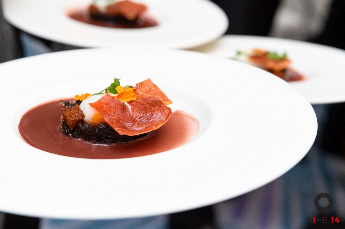 A Gastronomic Odyssey