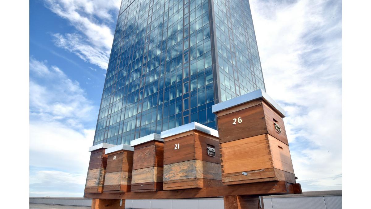 [Translate to Serbe:] 