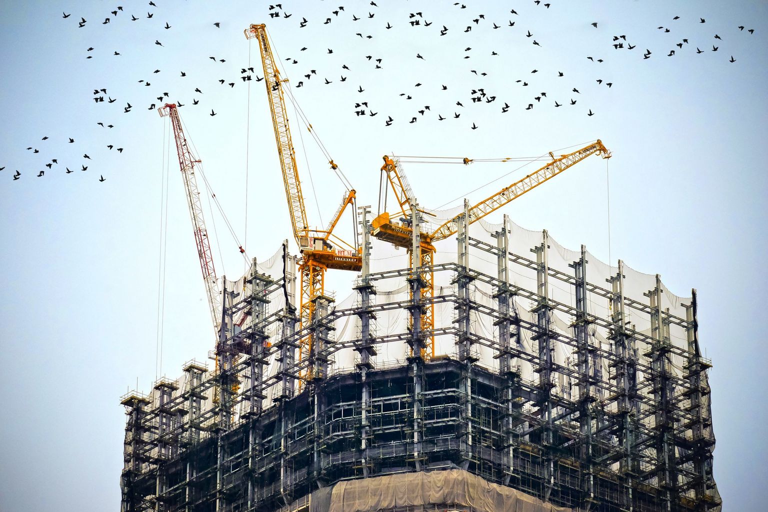 "L’immobilier et la distribution : les grands chantiers" "L’immobilier et la distribution : les grands chantiers"
