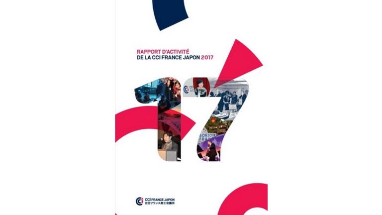 Rapport d'activité 17