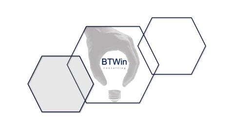 BTWIN CONSULTORIA LTDA