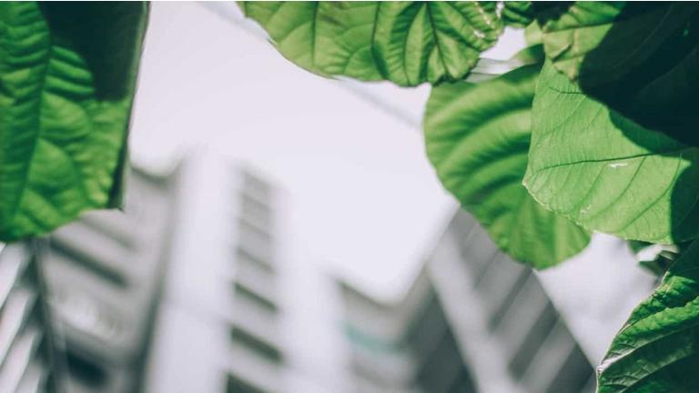 APAC continues to advance sustainable finance