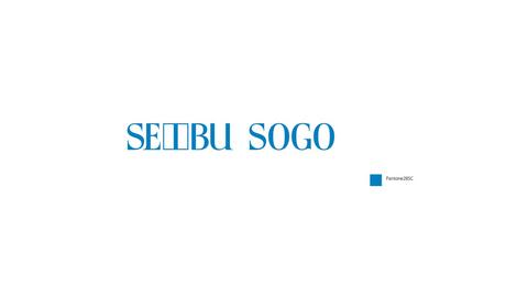 SOGO & SEIBU CO., LTD.
