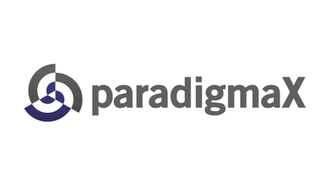 PARADIGMAX CONSULTORIA EMPRESARIAL LTDA