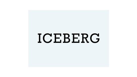 ICEBERG PLUS S.R.L.