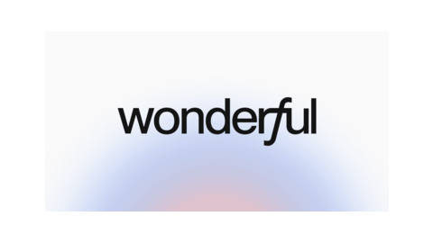 WONDERFUL SYSTEMS S.R.L.
