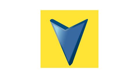 VITAFOAM