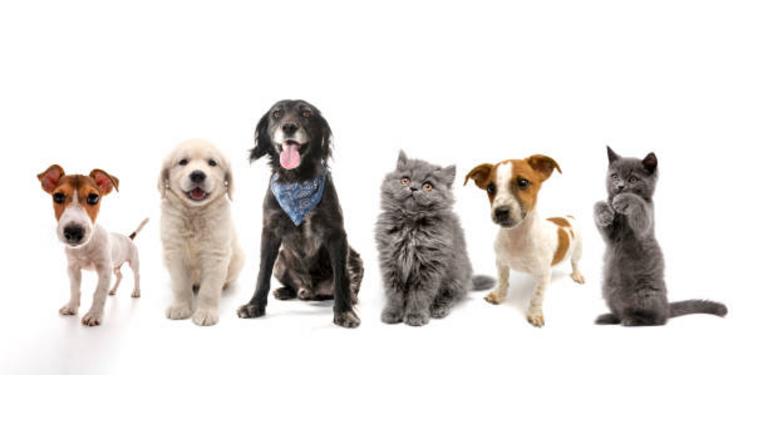 [Translate to Serbe:] 