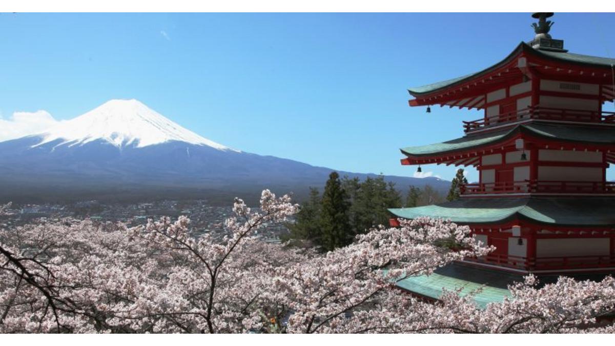 山梨県と東京オリンピック･パラリンピック競技大会